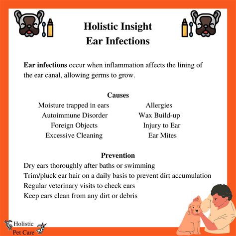 Holistic Insight Ear Infections Whippany New Jersey