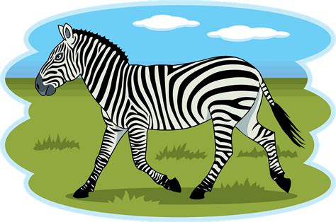 Clipart Zebra Zebra Png Cute Zebra Clipart Zebra Clip