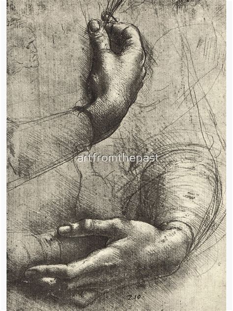 Study Of A Womans Hands Drawn By Leonardo Da Vinci 1452 1519