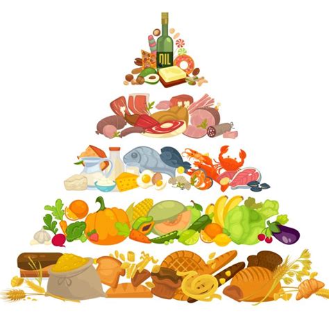Piramida alimentaţiei sănătoase modele vechi vs noul model