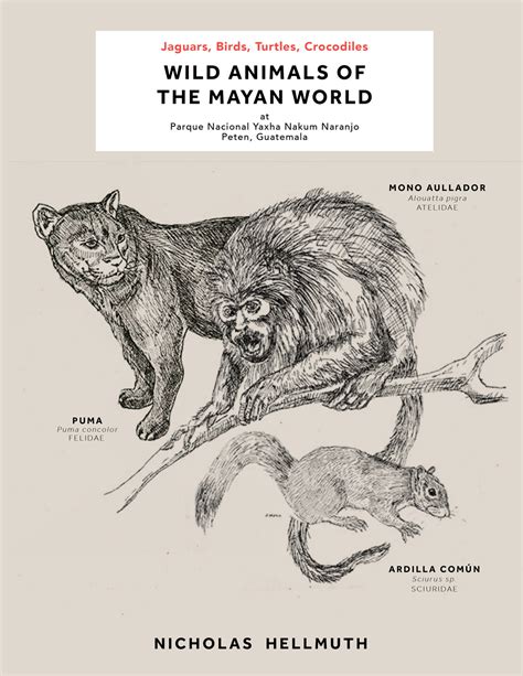 Wild Animals Of The Mayan World At Parque Nacional Yaxha Nakum Naranjo