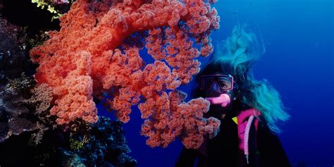 Australia And Great Barrier Reef 12 Night Tour Incl Air Travelzoo