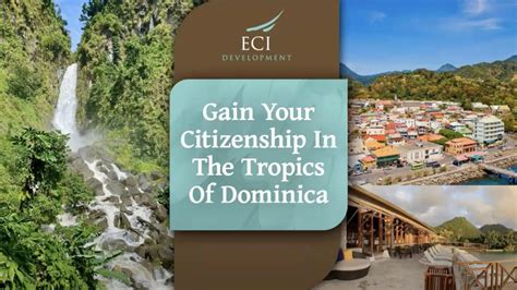 dominica citizenship by investment program overview eci development