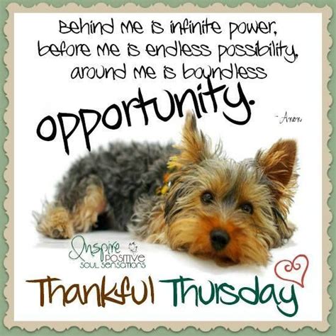 Thankful that i'm excited for my six mile run and weight training tonight. Thankful Thursday Inspirational Quote | Thankful thursday ...