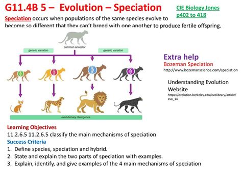 Evolution Speciation Online Presentation