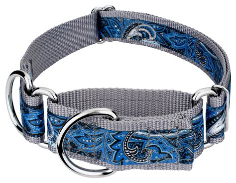 Buy 1 1/2 Inch Blue Paisley Exclusive Martingale Dog Collar Online
