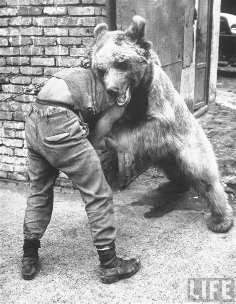 Iranian Man Wrestles A Bear 1951 Bear Hug Big Bear Mens Wrestling