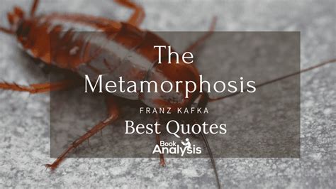 5 Important Quotes In The Metamorphosis By Franz Kafka