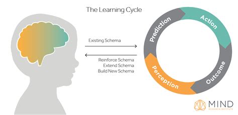 What The Perception Action Cycle Tells Us About How The Brain Learns