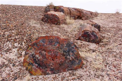 Petrified Forest National Park In One Day Getaway Compass
