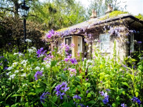 How To Create A Cottage Garden Using Indigenous South