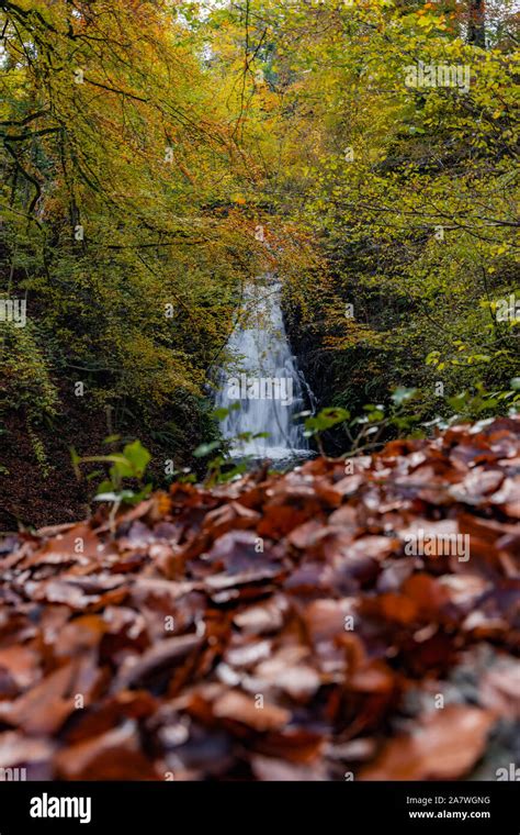 Glenoe Waterfall In Autumnal Colours Causeway Coastal Route Larne