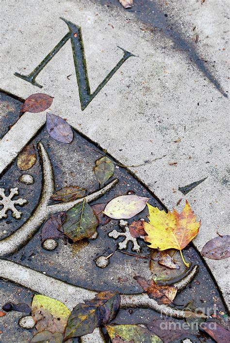 North Autumn Leaves Photograph By Nancy Mueller Pixels