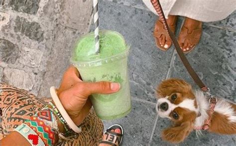 En este alimento podrás encontrar hasta el 100% de la dosis diaria recomendada de este mineral, que influye tan positivamente en y así como hay alimentos que mejoran la erección, hay otros que no. Descubre los alimentos que alivian el estrés | El Diario Vasco