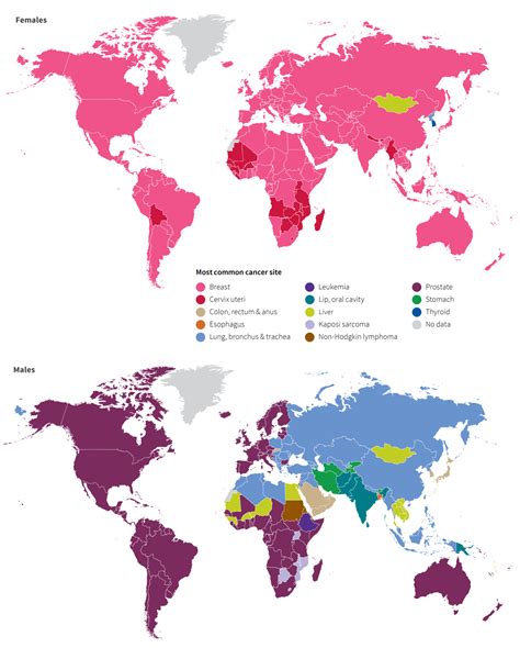 most commonly diagnosed cancers worldwide by sex 2018 american cancer society r mapporn