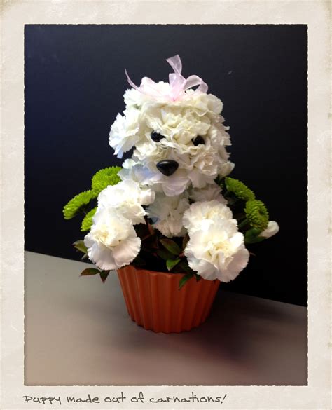 This Is An Amazing Cute Puppy Flower Arrangement I Cant Believe Its