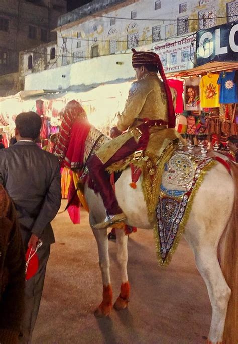 Stock Pictures Bridegroom On Horse