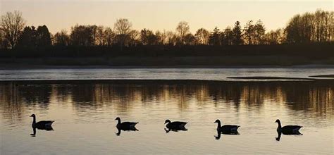 Hyllie boulevard 27 malmö 215 32 sweden. Ikano Bank - Erbjudanden och fakta