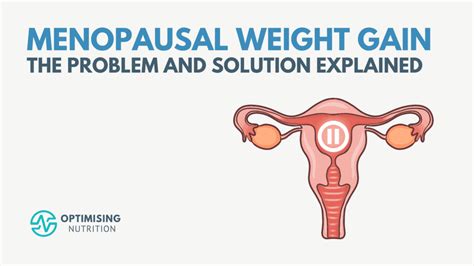 Perimenopause Weight Gain And Fat Loss Explained Optimising Nutrition