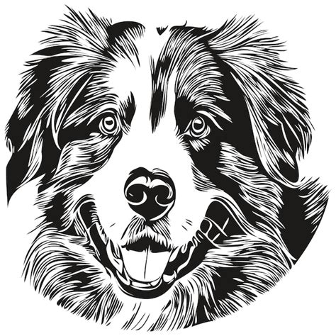Premium Vector Australian Shepherd Dog Hand Drawn Vector Line Art
