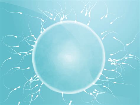5 die ersten symptome der schwangerschaft. Die Befruchtung der Eizelle: So beginnt Deine Schwangerschaft