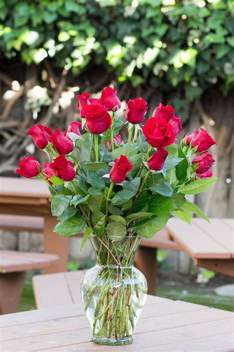 Two Dozen Long Stem Red Roses In San Jose Ca Bees Flowers