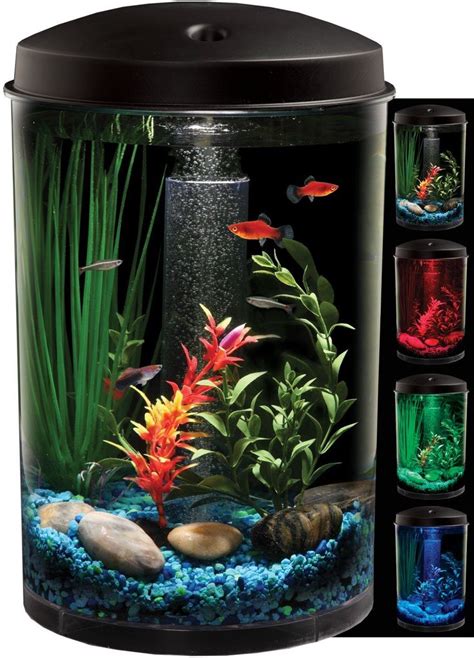Pin By Jetsu Health And Beauty On Tropical Fish Aquarium Kit