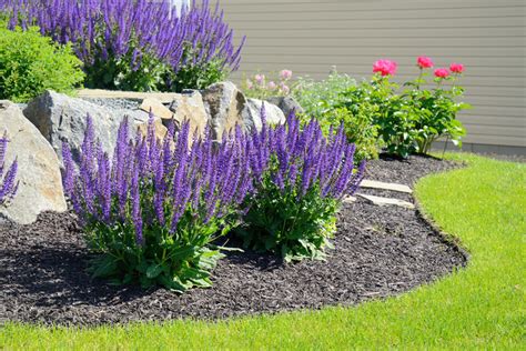 5 Low Maintenance Landscaping Ideas Caliterra