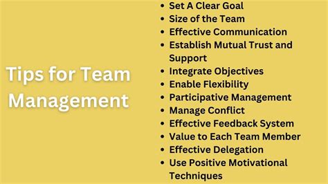 How To Manage A Team 12 Tips For Success Bokastutor