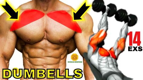 14 Best Upper Chest Exercises With Dumbells Musculation Haut De Pecs