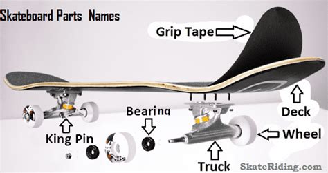 Main Skateboard Parts Names5 Safety Rules