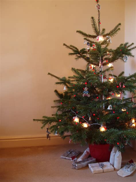 Photo Of Christmas Tree Presents Free Christmas Images