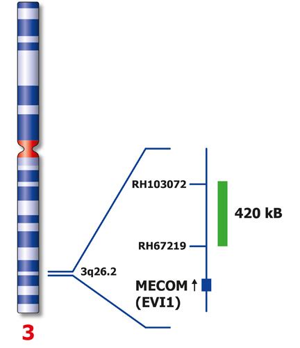 Mecom 3q26 Ish Probes Molecular Pathology