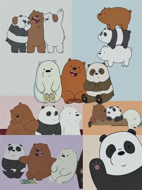 Más De 25 Ideas Increíbles Sobre Pardo Panda Y Polar En Pinterest