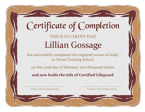Certificate Of Completion Sample Editable Msword Document Printable