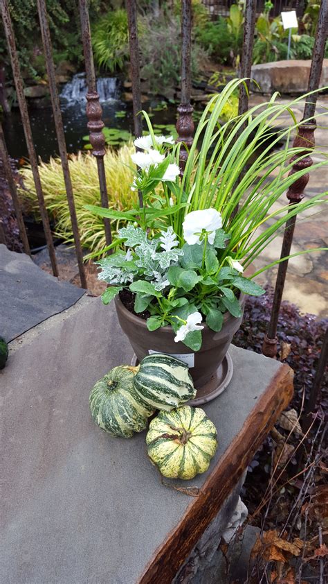Fallwinter Mixed Container At Andys Creekside Nursery In Vestavia