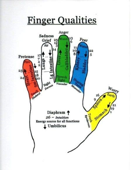 Finger Massage Acupressure Treatment Hand Reflexology Reflexology