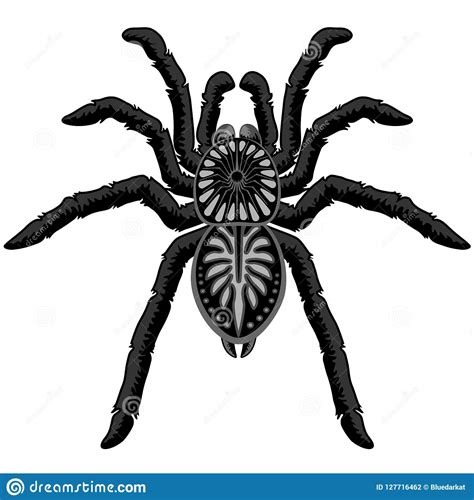 Spider Tarantula Tattoo Style Black And White Vector Illustration