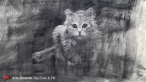 CÓmo Dibujar Un Gato Con Polvo De Carboncillo Youtube