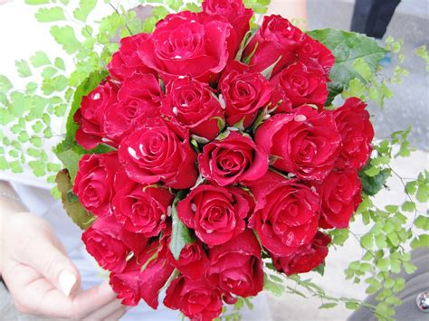 Pesan bunga papan duka cita di toko bunga karanganbunga.com, kami kirimkan hari ini juga. 30 Gambar desain karangan bunga nan indah | | SI MOMOT