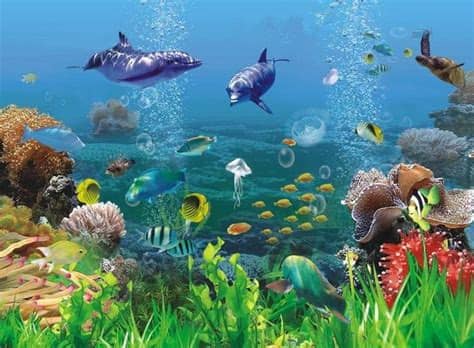 wallpaper pemandangan bawah laut kartun | Pemandangan ...