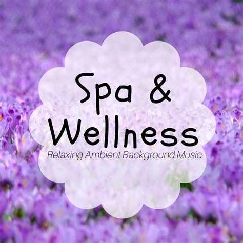 ‎spa And Wellness Sounds Of Nature Relaxing Ambient Background Music