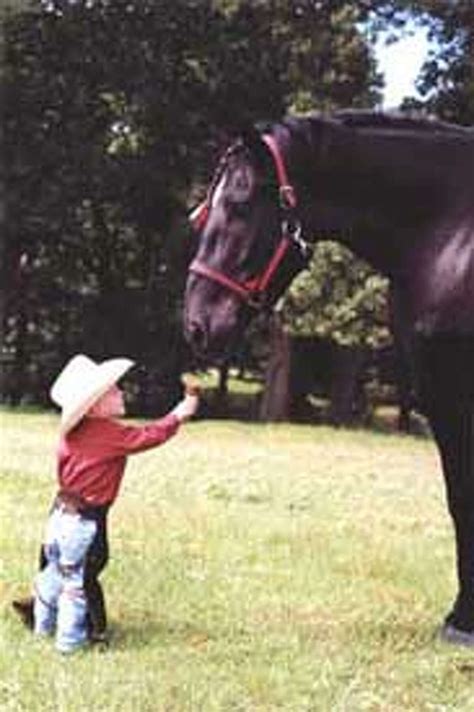Worlds Tallest Horse Dies At Texas Ranch