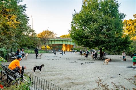 15 Fabulous New York City Dog Parks That Your Pup Will Love