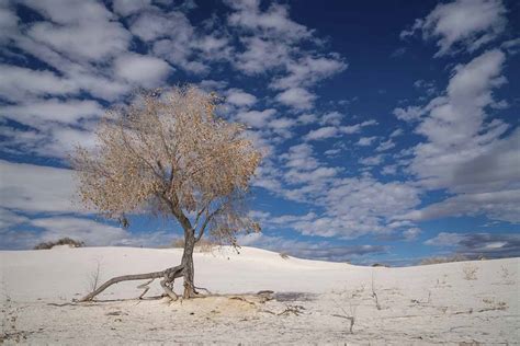 10 Things To Do In White Sands National Park Nm The Crowded Planet