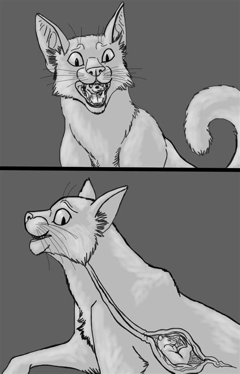 A Game Of Cat And Mouse Sketches By Spidersvore On Deviantart