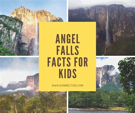 Angel Falls Facts For Kids Konnecthq
