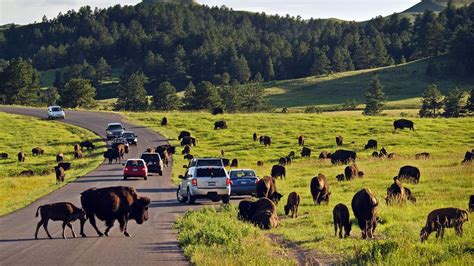 Western South Dakota Road Trip In The Black Hills And Badlands