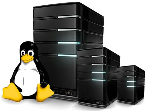 Know something about Linux VPS hosting - Docven-transfrom ...