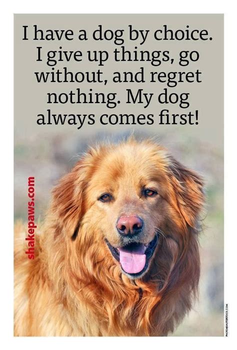 I Have A Dog By Choice Dog Quote Dogs Dog Quotes Dog Quotes Love